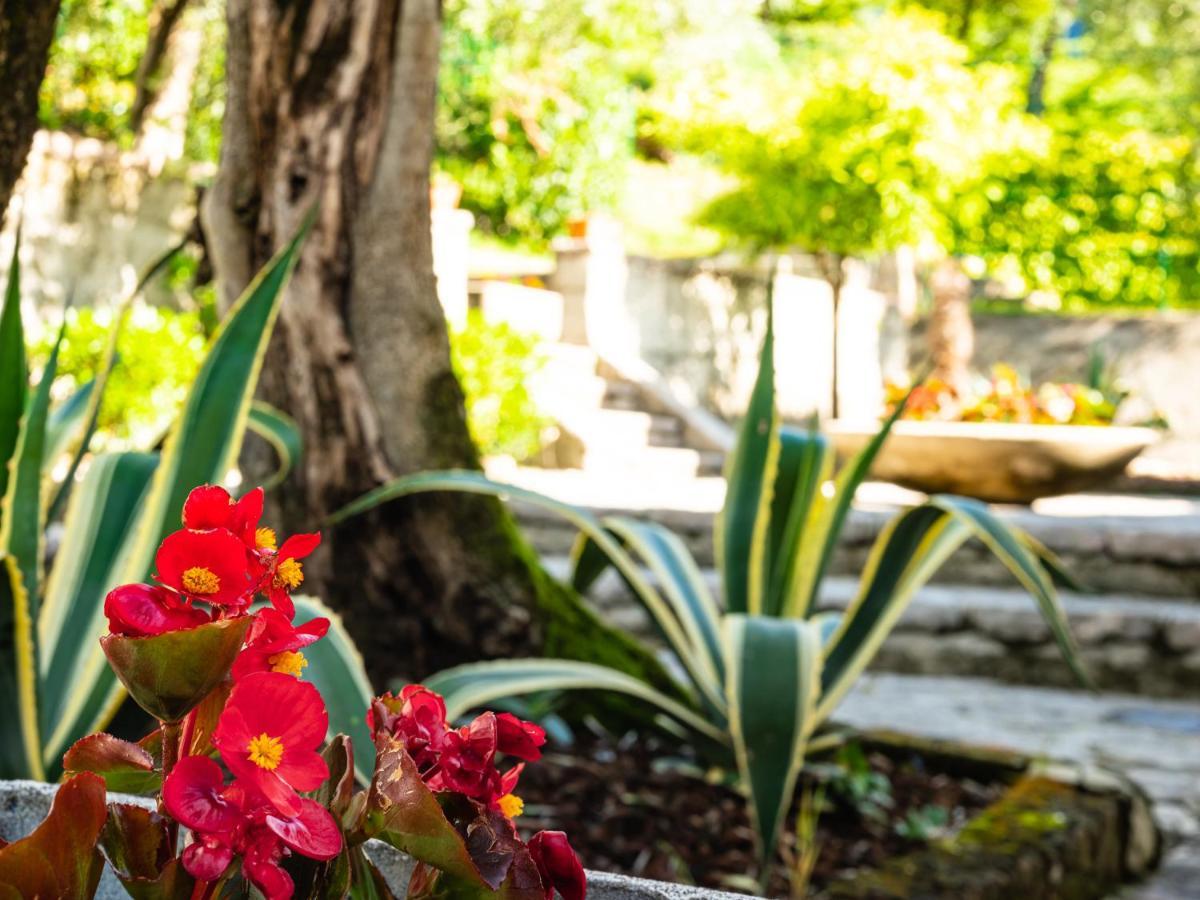 Hotel Leonardo Da Vinci Limone sul Garda Exterior photo